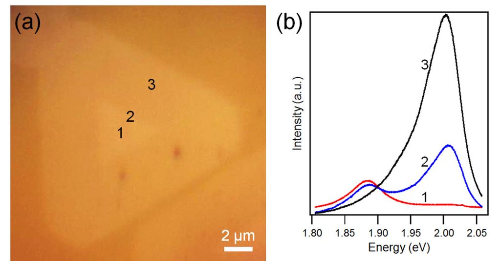 Figure S4. (a) Optical microscope image of in-plane WS 2 /MoS 2 heterostructures. (b) PL spectra exited by an Ar + ion laser at 514.5 nm taken from the points marked by 1-3 in (a).