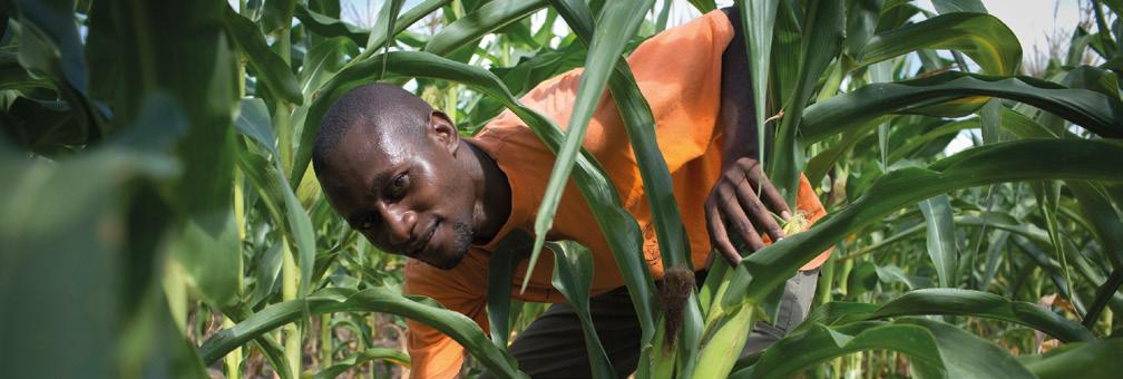 Analysing the pathways young people use to establish themselves in farming, Tanzania Research objective This study will investigate the pathways young people use to establish themselves in farming