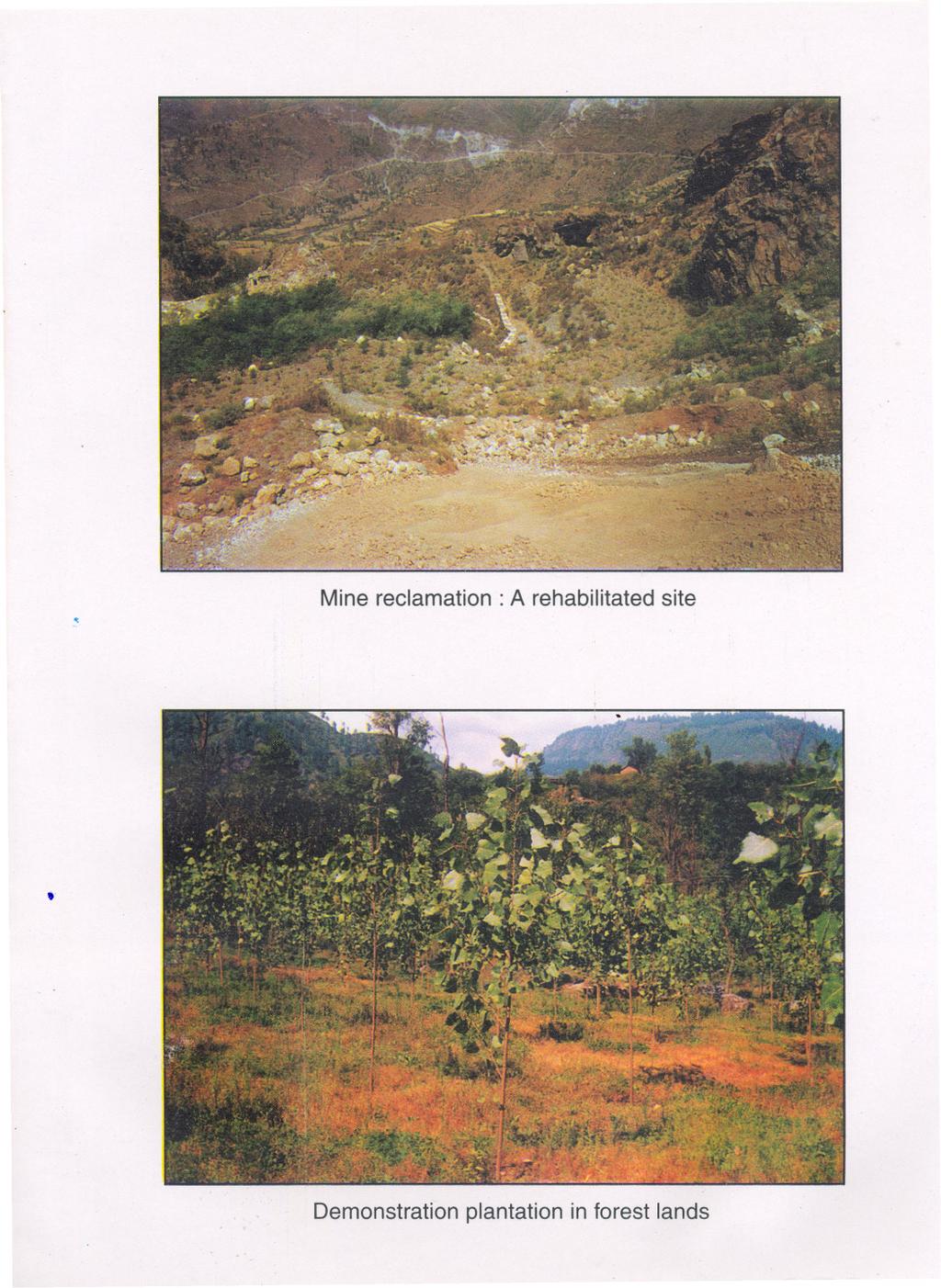 Mine reclamation: A rehabilitated site
