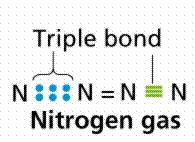 Nitrogen Cycle Nitrogen in Atmosphere = 79% Problem is getting N into a form that plants can use.