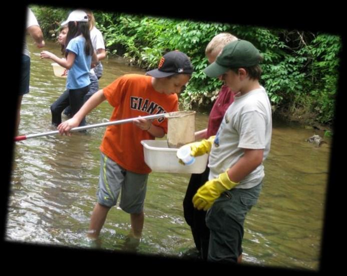 Stream Study Learn the name and location of our watershed, the living and non-living components of a stream ecosystem, what macroinvertebrates are and how they are important indicators of water