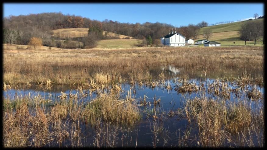 Discover Wetlands Explore a restored wetland to discover how the wetland alleviates excess run-off, provides habitat for a variety of animals, provides a nursery for young wildlife, and is a resting