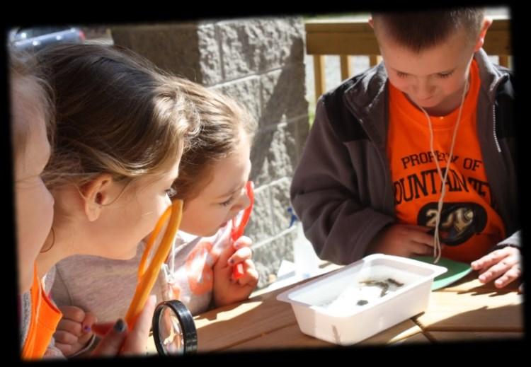 The Loyalhanna Watershed Association (LWA) offers innovative, hands-on environmental science programs for students in public and private schools, homeschoolers, environmental clubs, and scouting