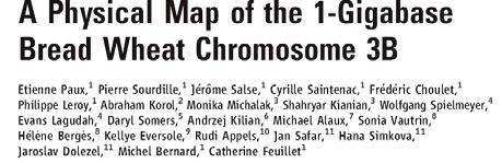 Physical map of the 1GB chromosome 3B chr 3B 1000 Mb Paux et al, Science 2008,; Rustenholz et al, Plant Physiol 2011 131 792 fingerprinted i BACs by SNaPshot 1 283 contigs (average size = 749 kb)