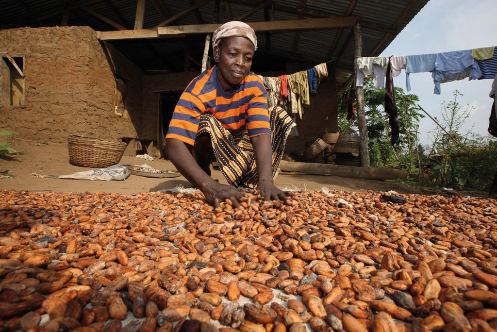 Photo George Osodi/Panos for Oxfam America APRA brochure: Nigeria The Agricultural