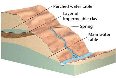 of aquifers. Springs may also emerge at the edges of perched water tables.