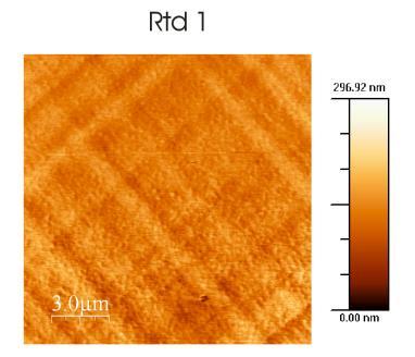 Figure 2 shows an example of AFM topography of two of the samples.