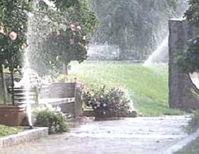 Turn off sprinklers during rainy weather.