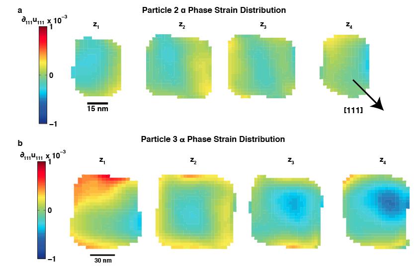 Supplementary Figure 8. Strain maps in a pure Pd nanocube compared to the phase field model without hydrogen.