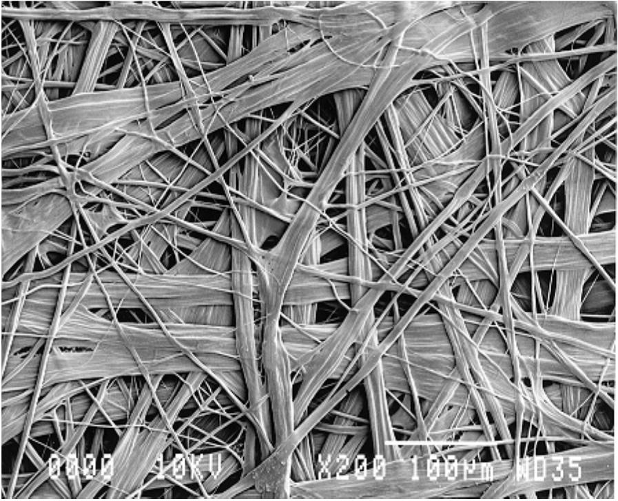 Tyvek - fiber and sheet structure
