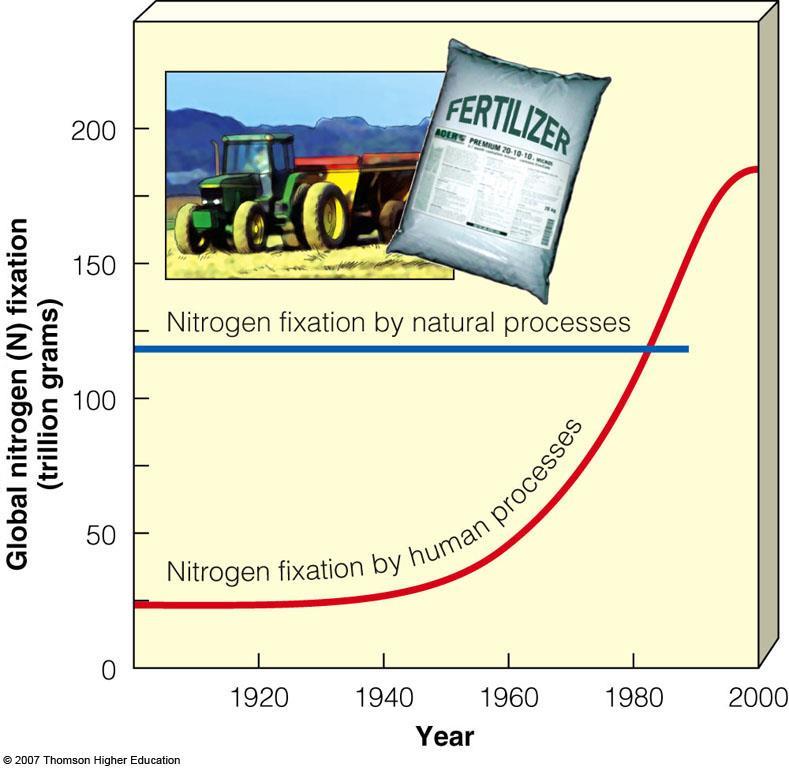 NITROGEN CYCLE Human activities such as production of fertilizers