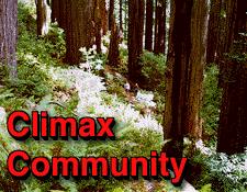 SECONDARY SUCCESSION Each successive (new) community is more favorable for new species Changes in stages until a climax community is established The area is