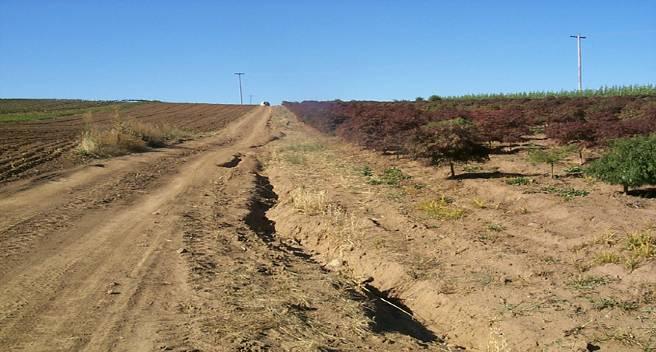 Soil Loss Wind blows loose soil Gullies on bare slopes Bare soils should be planted with cover crops or turf