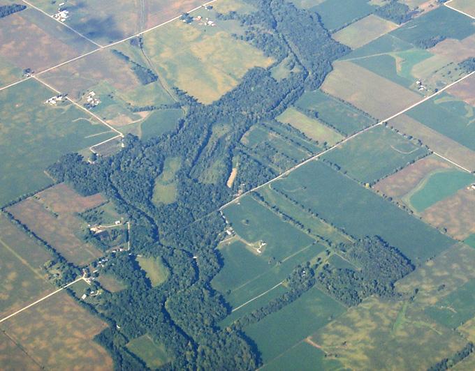 From the Ground Up:Building Field Soils Riparian buffers are natural vegetative filters that can protect streams and public