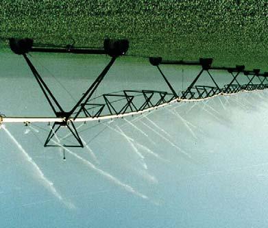 Alberta's Irrigation Strategy for the Future 800 700 Area (thousands of hectares) 600 500 400 300 200 100 0 1970 1972 1974 1976 1978 1980 1982 1984 1986 1988 1990 1992 1994 1996 1998 2000 2002 2004