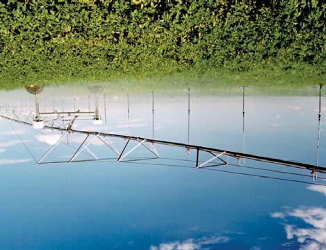 Pivots require less labour to operate, can be used to target specific amounts of irrigation to a field, and are better able to accommodate crop requirements throughout the growing season.