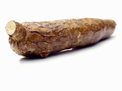 DATASET Cassava, tapioca, yuca, manioc, majumbura, madumbe (Manihot esculenta Crantz) Two cultivars, resistant (T200) and susceptible (TME3) to