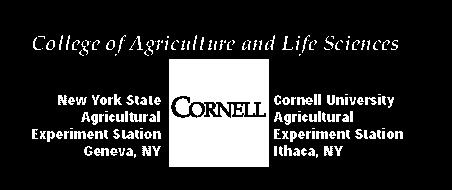 County Agriculture Agent