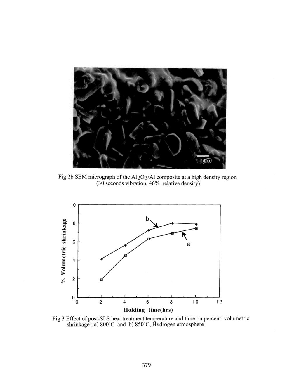Fig.2b SEM micrograph ofthe A1203/AI composite at a high density region (30 seconds vibration, 46%