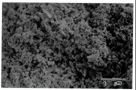 5 SEM micrograph of the HIP SLS  relative