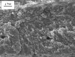 DISCUSSION The above results show that the mechanical properties of the initially amorphous Mg-23Ni alloy are strongly affected by the