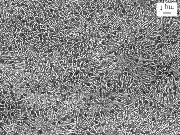 Pérez, Garcés, Adeva and Sommer this temperature, the lamellar eutectic microstructure tends to be broken and be replaced by a more equiaxial one, with small particles of Mg 2 Ni at grain boundaries