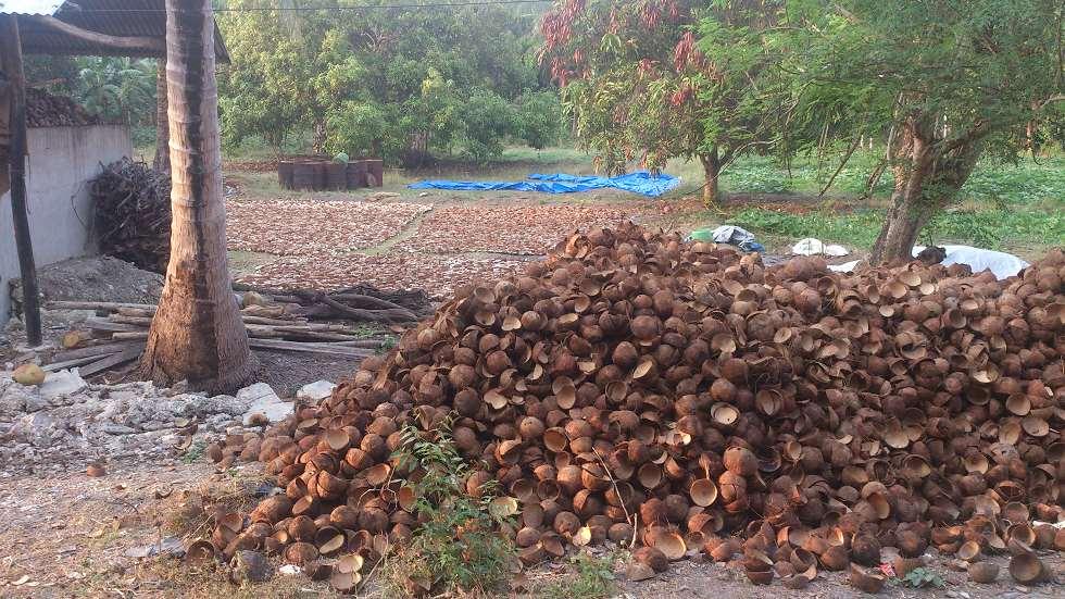 Case study: Andaman & Nicobar islands Available biomass: