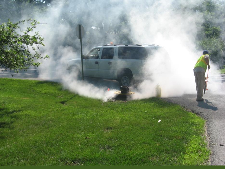 Smoke Testing Is a cost effective method to