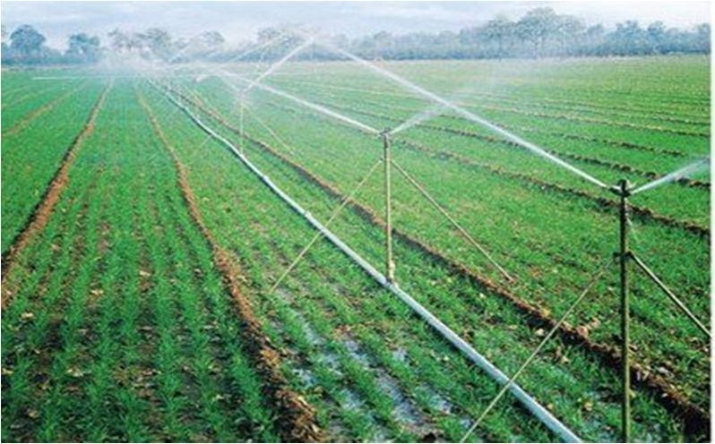 5) Method: In flooding method water covers the entire surface while in furrow irrigation method, only one half portion of land surface is wetted by water.