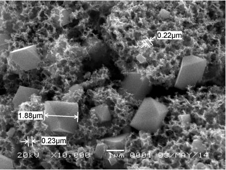 Figure 5 SEM data of samples treated at 1 hour (left figure) and 3 hours at calcination temperature of 600 o C.
