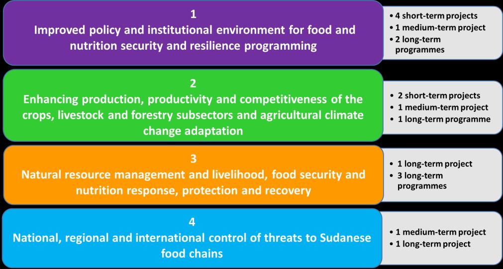 5 Crosscutting activities across the four strategic interventions: Stakeholder capacity development Food-based nutrition Gender equality Peace and