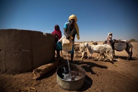 4 Long-term Drought resilience and recovery of livelihoods, food security and nutrition of vulnerable pastoralist and agro-pastoralist households along migratory stock routes in Sudan including land