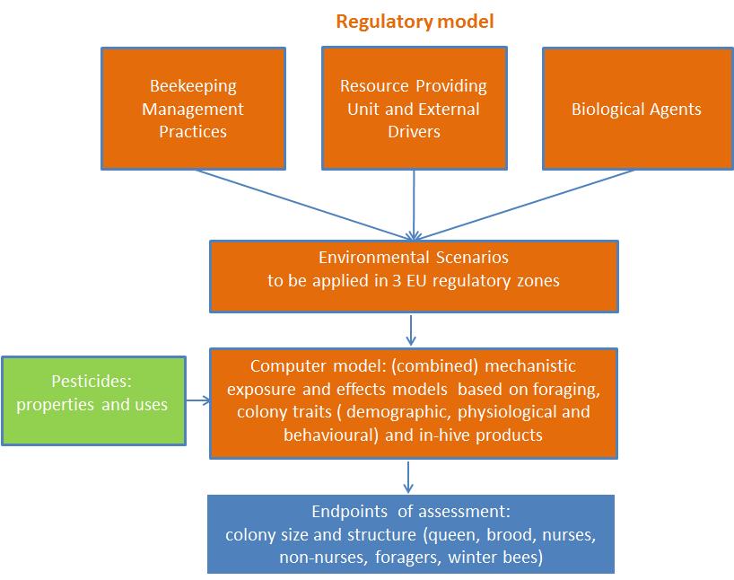 Figure 3: Schematic representation of the regulatory model for the risk assessment of PPP on honeybee colonies at the landscape level (adapted from EFSA PPR Panel, 2014).