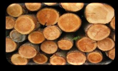 Sub-Component 2.5: Biological Resources Topic 2.5.1: Timber resources Timber resources: can be natural or cultivated and are important environmental resources in many countries.