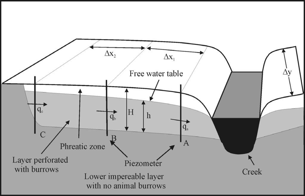 River Basin Management III 69 above the impermeable lower layer, (b) between piezometers A and B, and (c) has a dimension parallel with the axis of the creek of y.