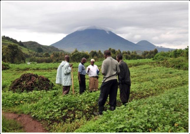 UGANDA Climate Agriculture Farming systems Uganda is characterized with Tropical climate with two rainy seasons in most areas (March to May, September to November) and two dry seasons (December to