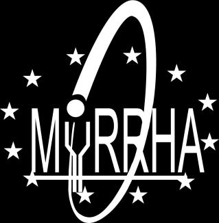 The Belgian MYRRHA ADS Project: Recent Developments and Future Perspectives Didier De Bruyn,