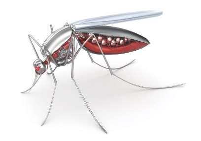 In India when the DDT campaign began in 1953 there were 75 million malaria cases a year and 800,000 deaths.