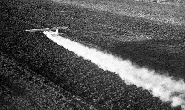 Boom Era Synthetic Pesticides chlordane