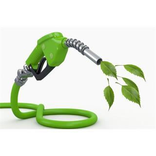 Biofuels a Growing Market Extensive use of biofuels is a prerequisite if EU is to live up to its own targets => CAGR ~ 5% projected Key considerations for biofuel products Availability of