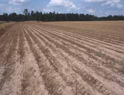 Land use agricultural areas Crop type Tillage % crop residue Soil types