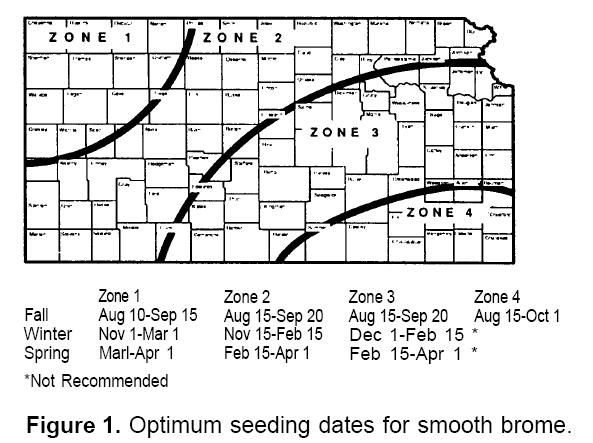 Timing of Brome Seeding Late summer or early fall optimum time to seed Can be seeded in the winter -spring