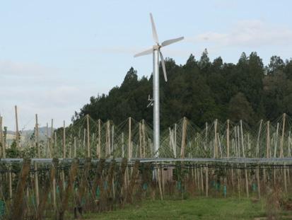 6 QUESTION THREE: GROWING KIWIFRUIT A fan, like the one in the picture below, has been installed in a kiwifruit orchard.