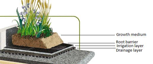 Green Roof Design 180 mm growth