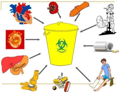 WHAT GOES IN YELLOW BAG Human anatomical wastes Body parts / tissues etc Cotton dressings, plaster casts Gauze pieces Antibiotics and other drugs Microbiology
