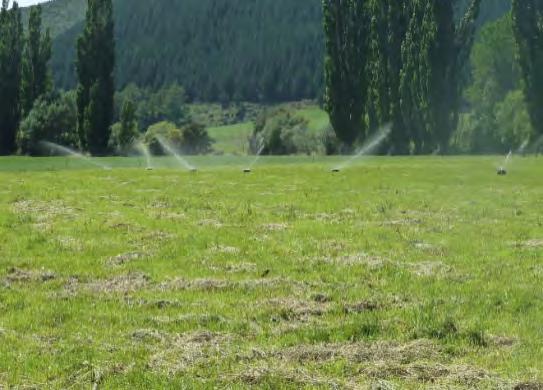 The most common types of effluent disposal in Marlborough from left to right; k-line pods, travelling irrigator and spreader truck The permitted activity rules and resource consent conditions for