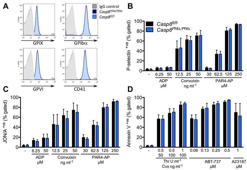 Supplementary Figure 1 Caspase-8 deficient platelets respond normally to agonists and ABT-737 (A) Surface expression of GPIX, GPIb, GPVI and CD41 were assessed on purified platelets from Casp8 fl/fl