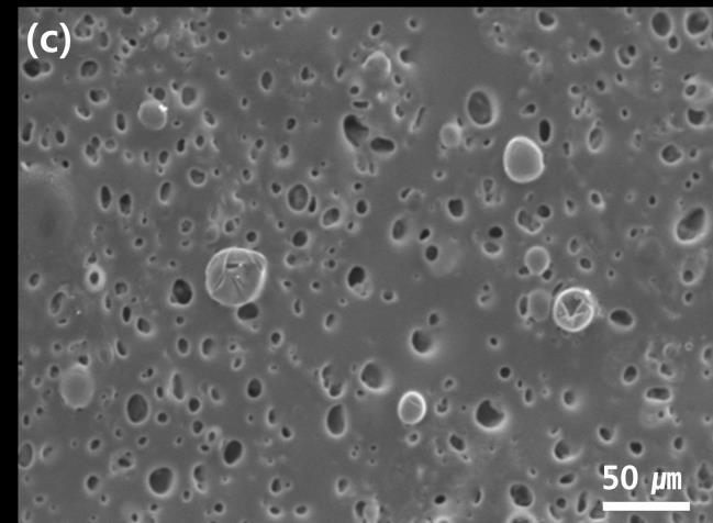 SEM micrographs of porous