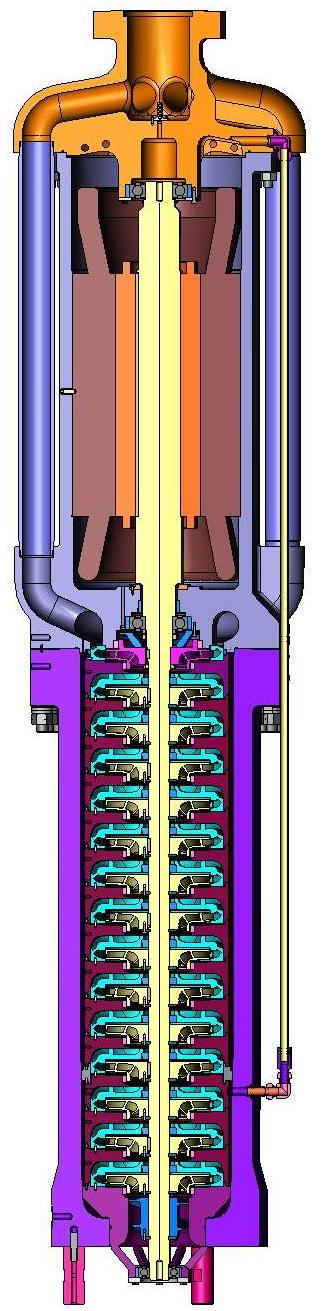 Particular design features for high-pressure LNG pumps: Single piece rotating shaft with integrally mounted multi-stage pump hydraulics and electrical induction motor Thrust