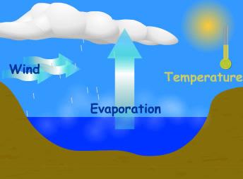 Evaporation and Transpiration Most water on earth is found within reservoirs (such as the ocean).